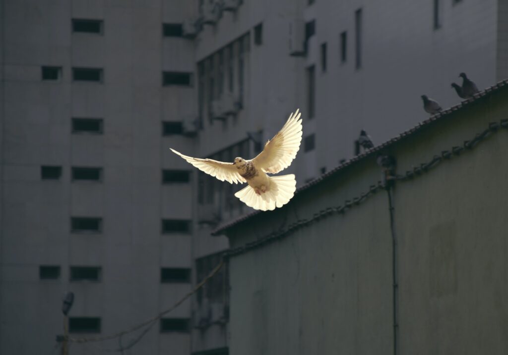 BA 商務中心-228和平紀念日